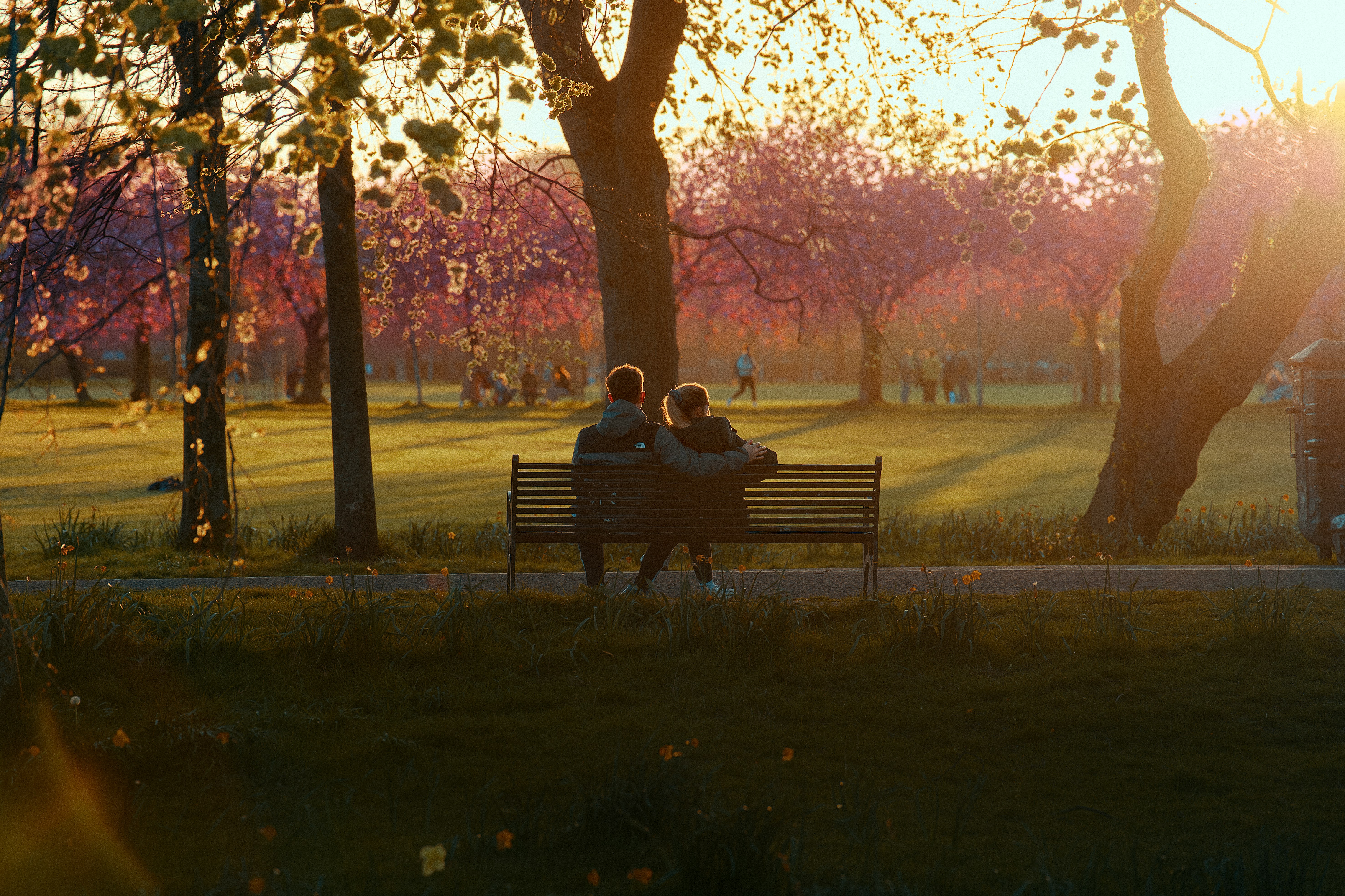 a couple on a park bench