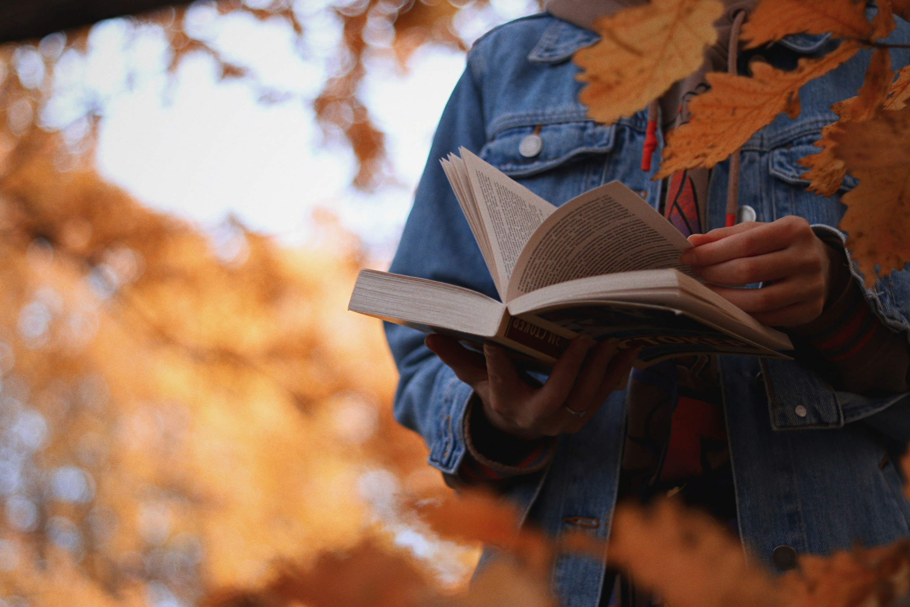 Reading on a fall day